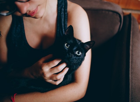 a woman holding a comfy cat