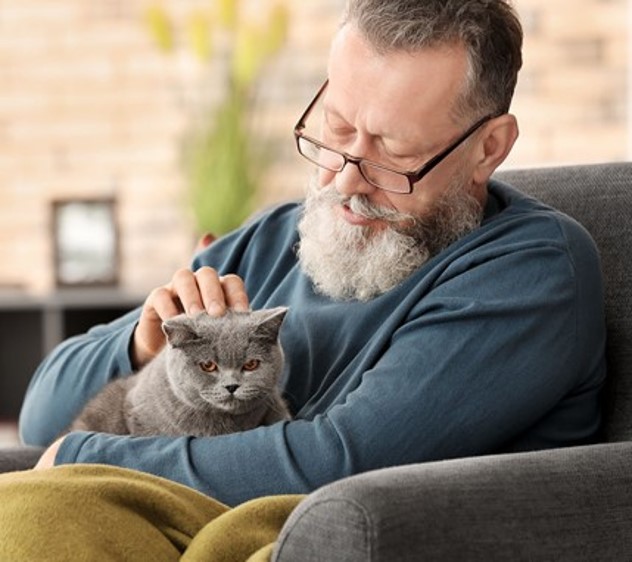 A person holding a cat Description automatically generated with medium confidence