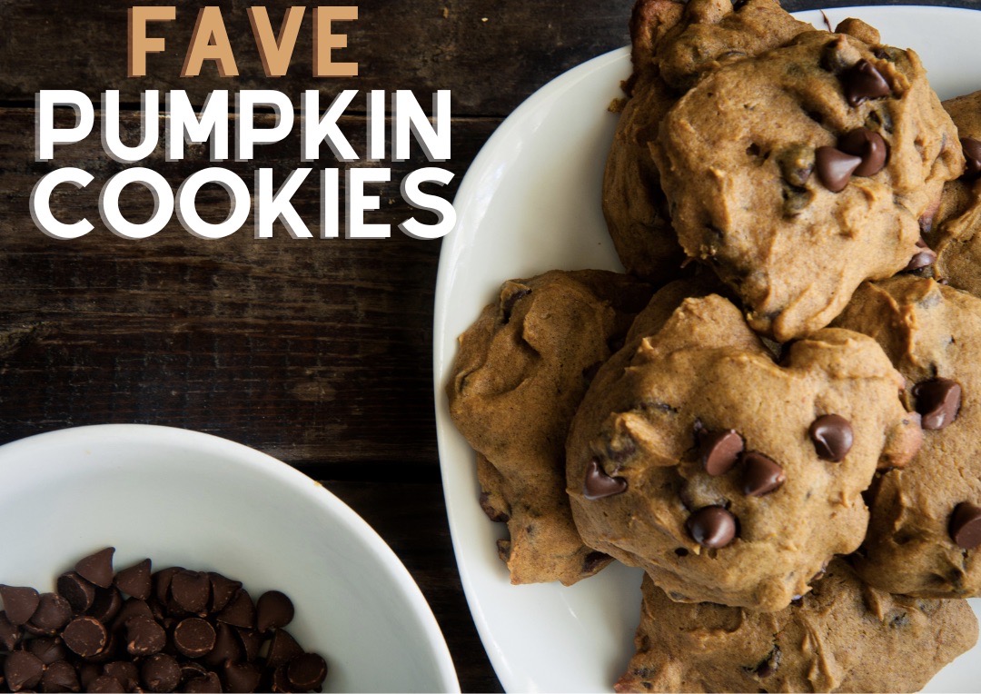 Favorite Chocolate Chip Pumpkin Cookies