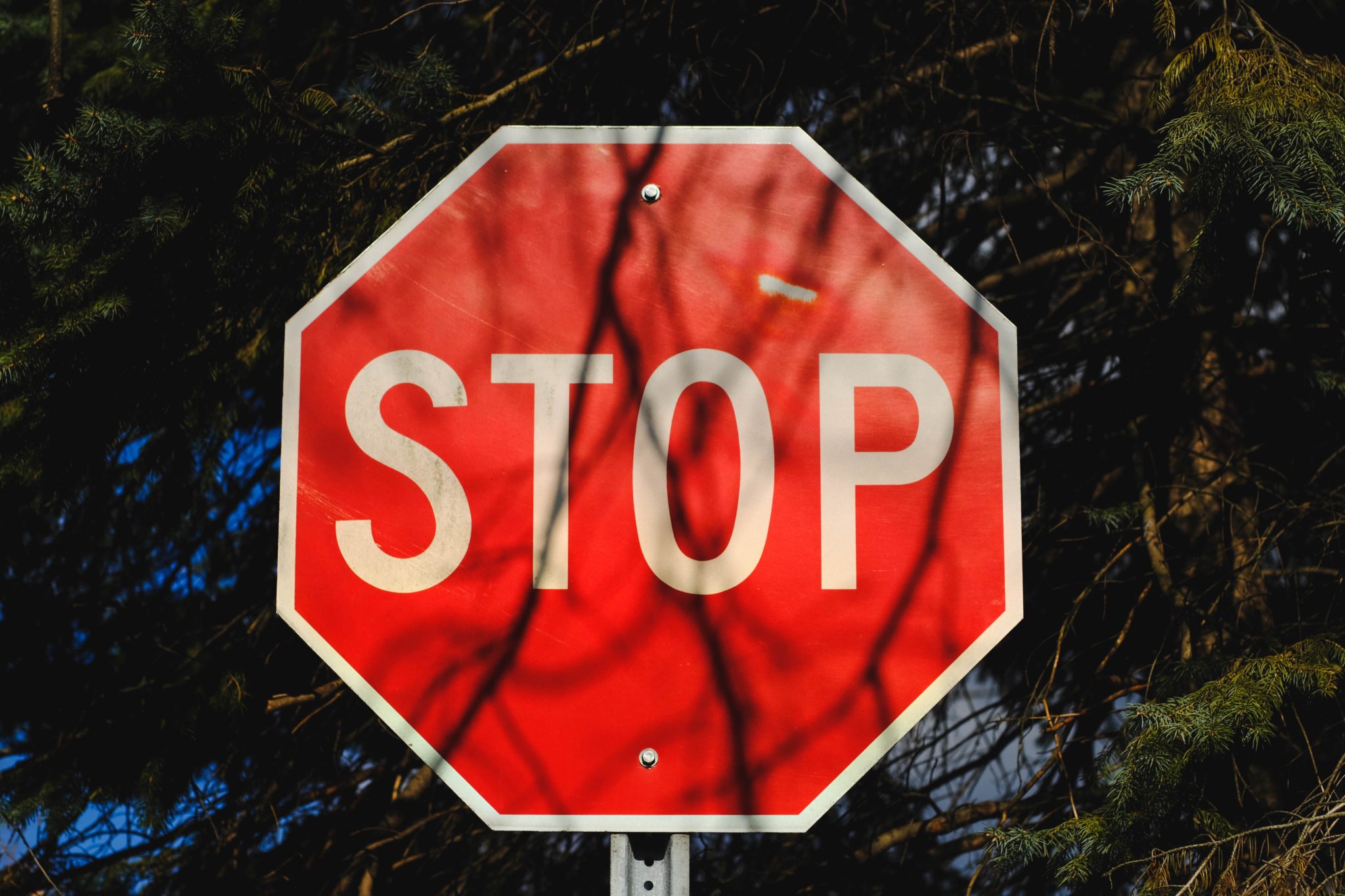 Would you have stopped?