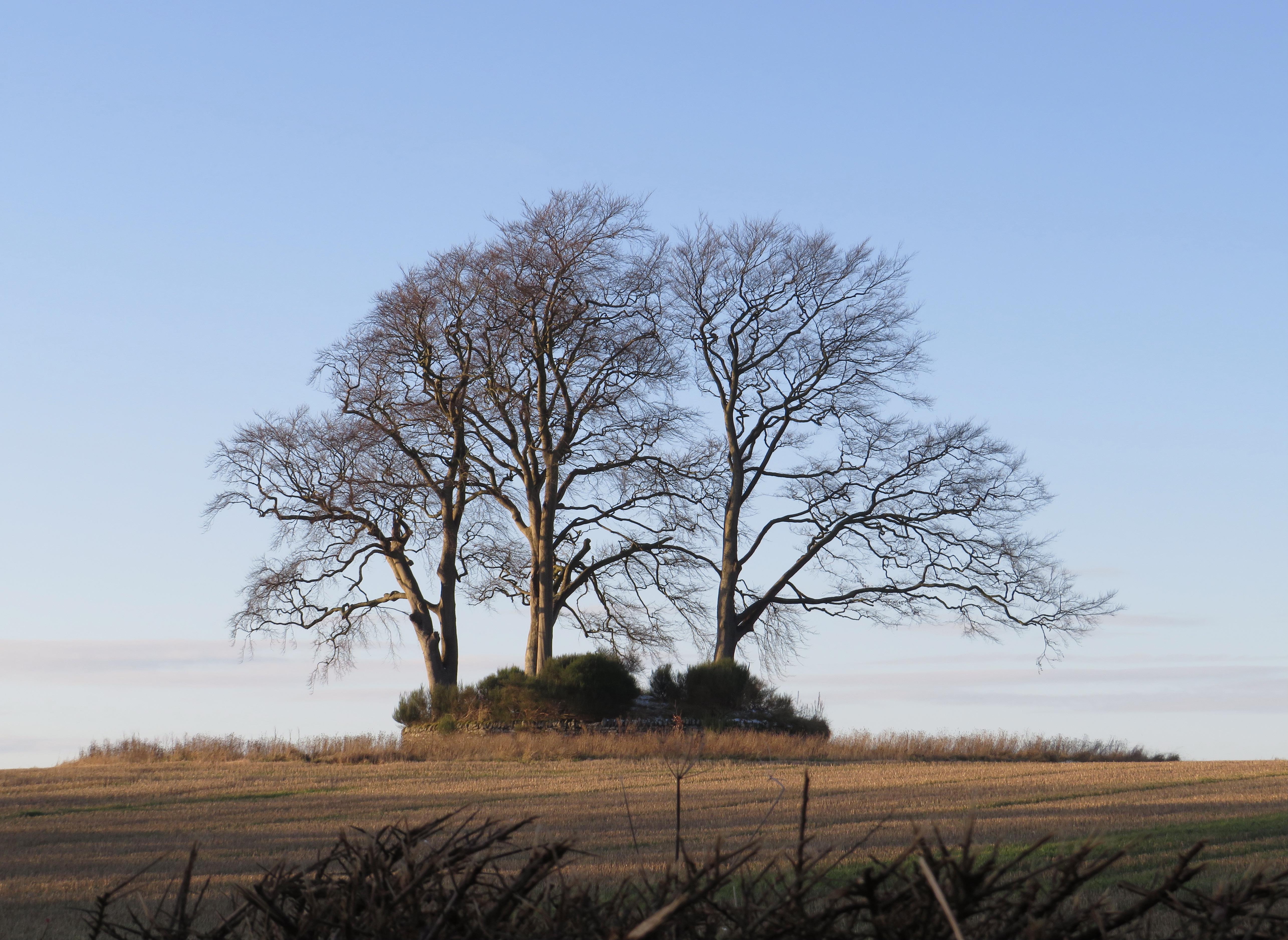 Site of Pictish burial ground, Craighead