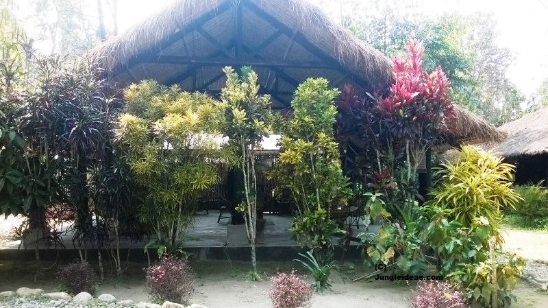 Nameri National Park, Nameri Birds, Nameri Trekking, Kaziranga National Park