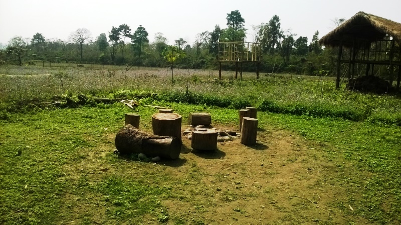 Nameri National Park, Nameri Birds, Nameri Trekking, Kaziranga National Park