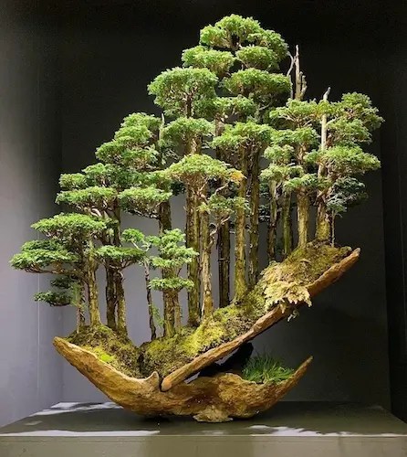 Tree Forest Bonsai sold for $16,000