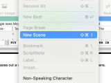 How Do I Use Scene View Final Draft