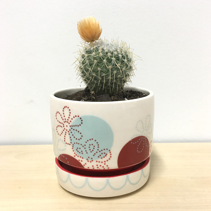 MadeInKC Ceramics KC STUDIO