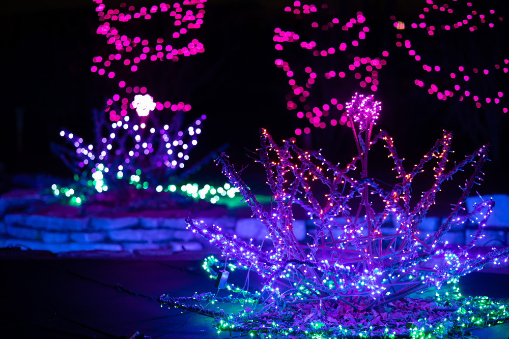 All is Merry and Bright at Powell Gardens – KC STUDIO