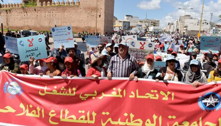 الوزير أحمد البواري يتعهد بتنفيذ التزامات جديدة لفائدة موظفي القطاع الفلاحي