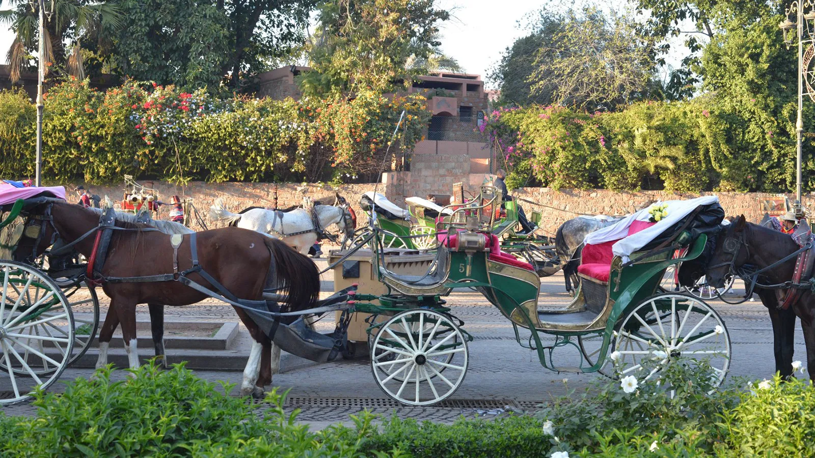 مهنيو الكوتشي بمراكش يعلنون تنظيم وقفة احتجاجية بساحة جامع الفنا