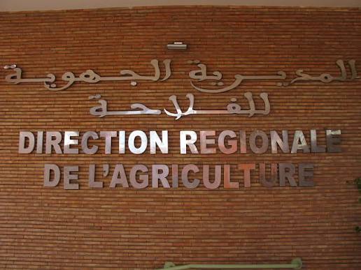 احتقان داخل المديرية الجهوية للفلاحة بمراكش آسفي.. اتهامات بممارسات تعسفية تطال رئيس قسم الحماية الاجتماعية للفلاحيين