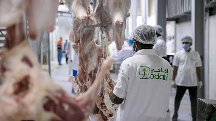 الحج مقابل العمل.. بين حلم زيارة بيت الله الحرام وشهادات تثير الجدل حول ظروف الانتقاء