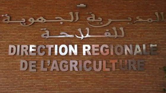نقابة الفلاحة بجهة مراكش آسفي تدق ناقوس الخطر بشأن ضغوط على موظفي المديرية الإقليمية بالصويرة