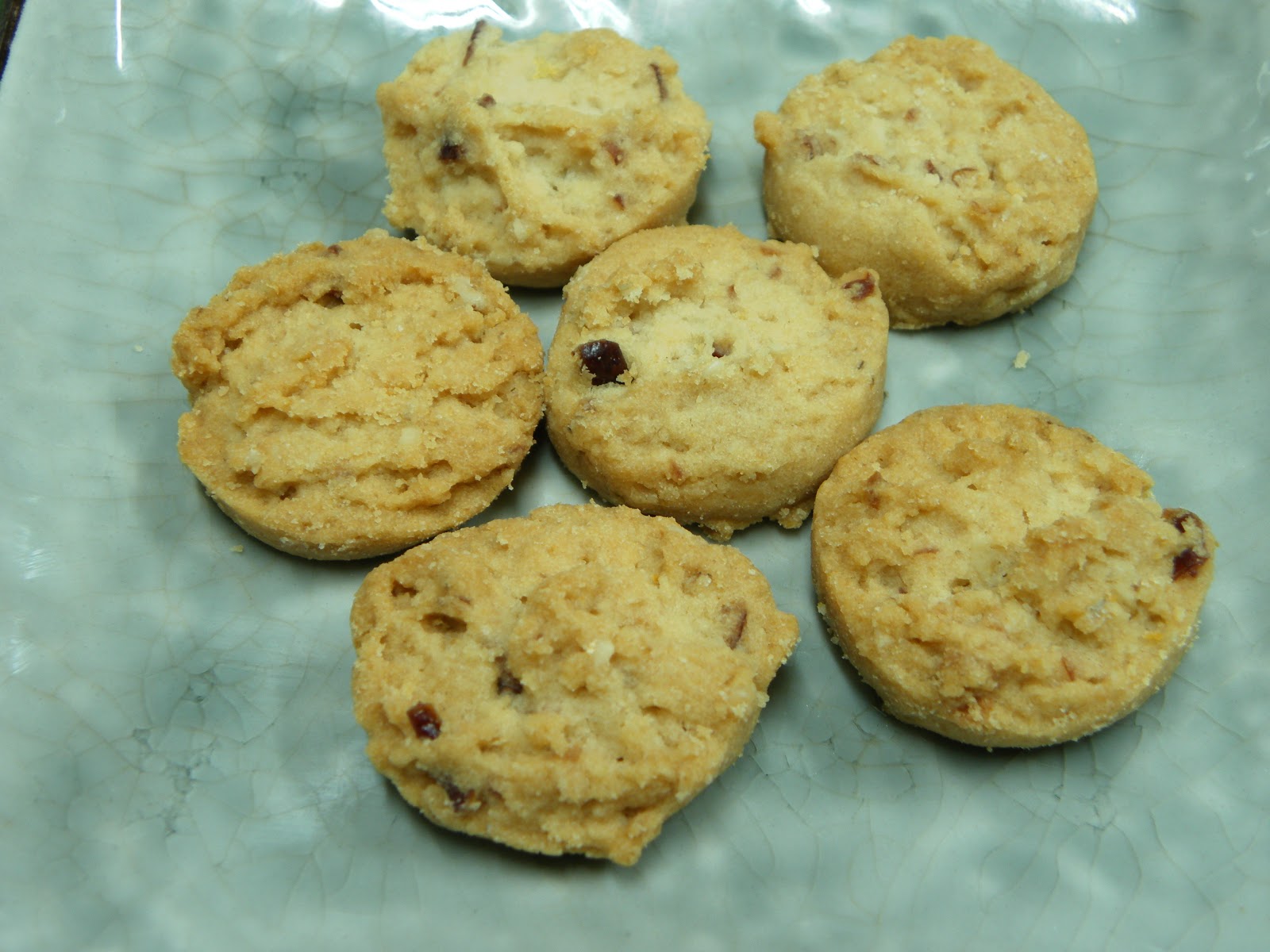 Cranberry Oatmeal 