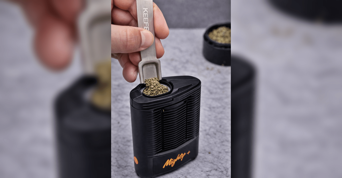 Keefer Scraper Mini loading Storz Bickel Mighty Plus vaporizer chamber with ground cannabis.