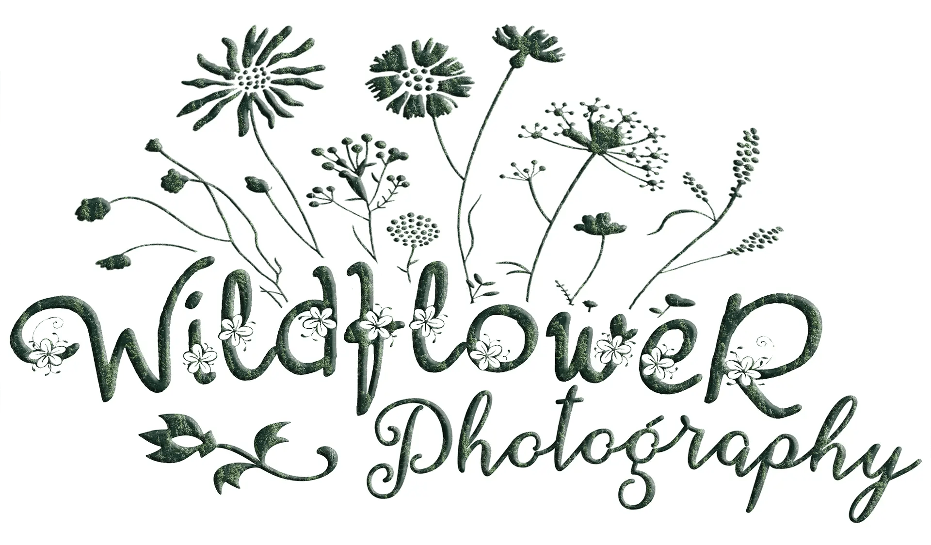 Logo for a photographer in Derby Kansas