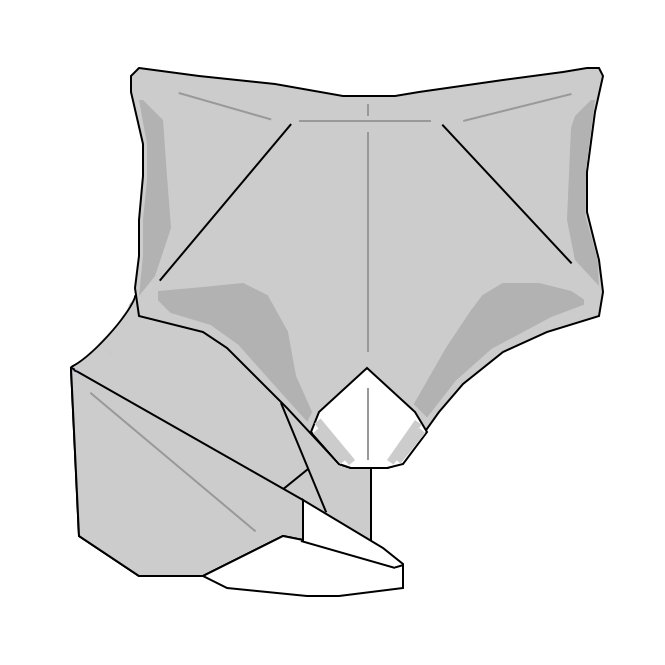 These arctic fox facts for kids are sure to make these little creatures seem even more interesting. How To Fold A Fox Wie Man Einen Fuchs Faltet Keep Folding On