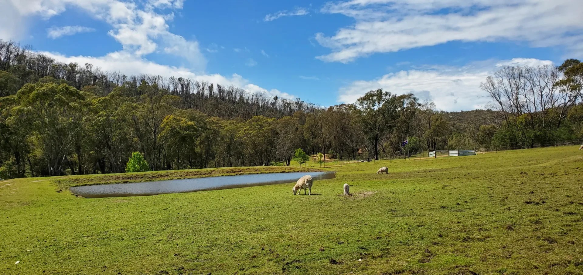 Beautiful farm in Australia