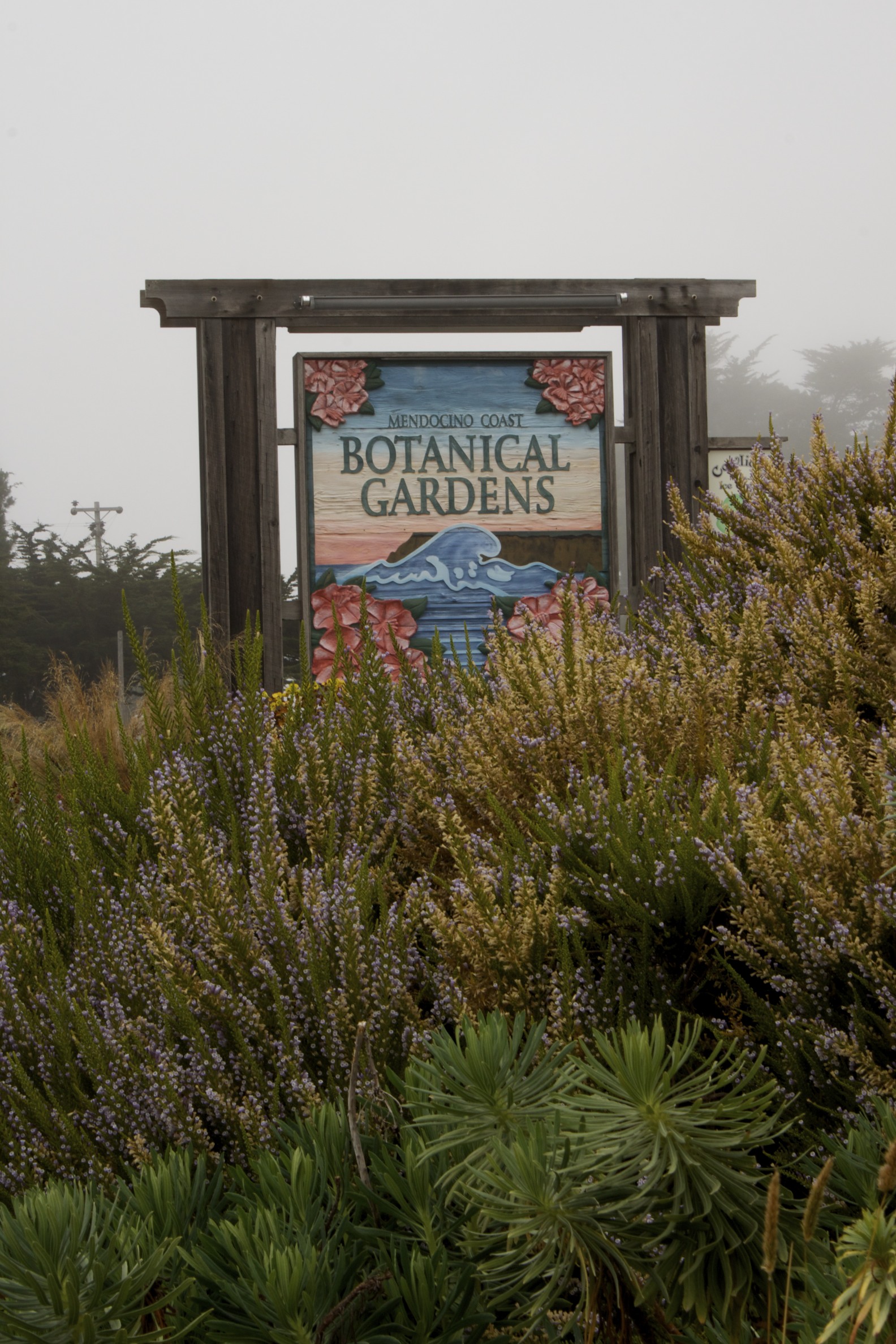 Mendocino Botanical Gardens