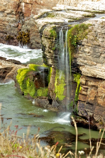 Waterfall into the Ocean