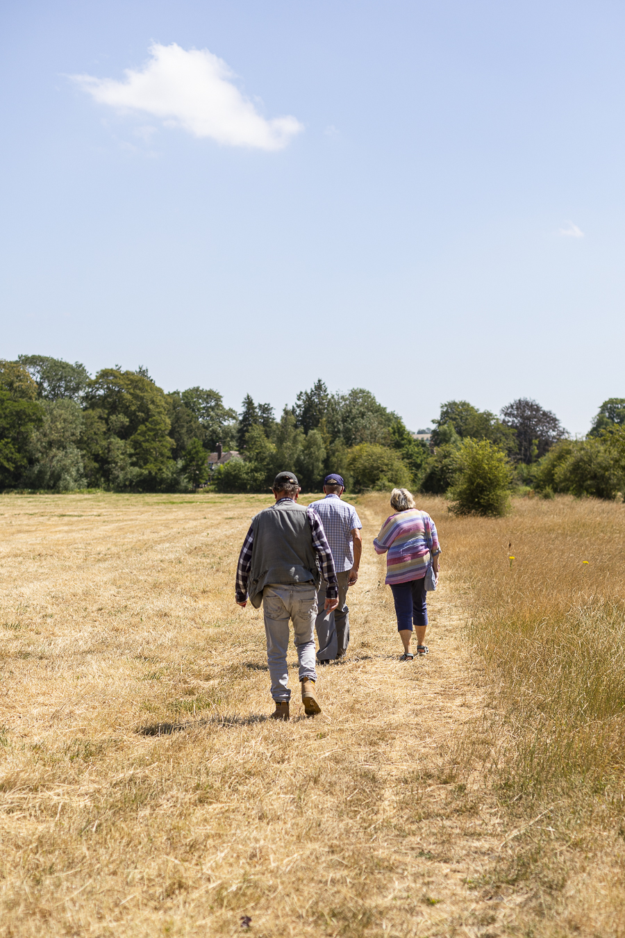 Back to Upton Lovell July 2026