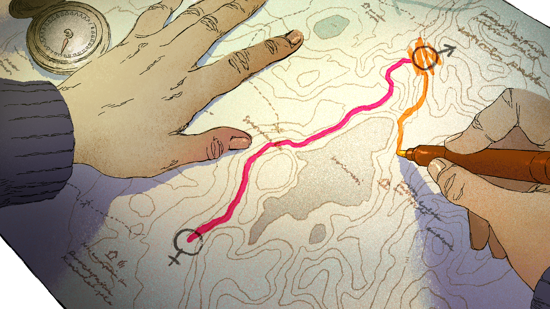 Detransitio ja transvastaisuus eivät kulje käsi kädessä, kertoo Laine