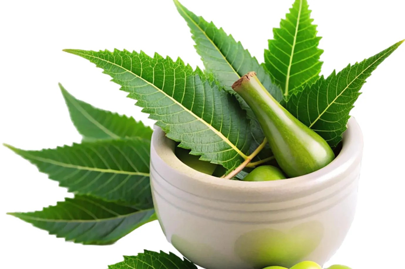 neem