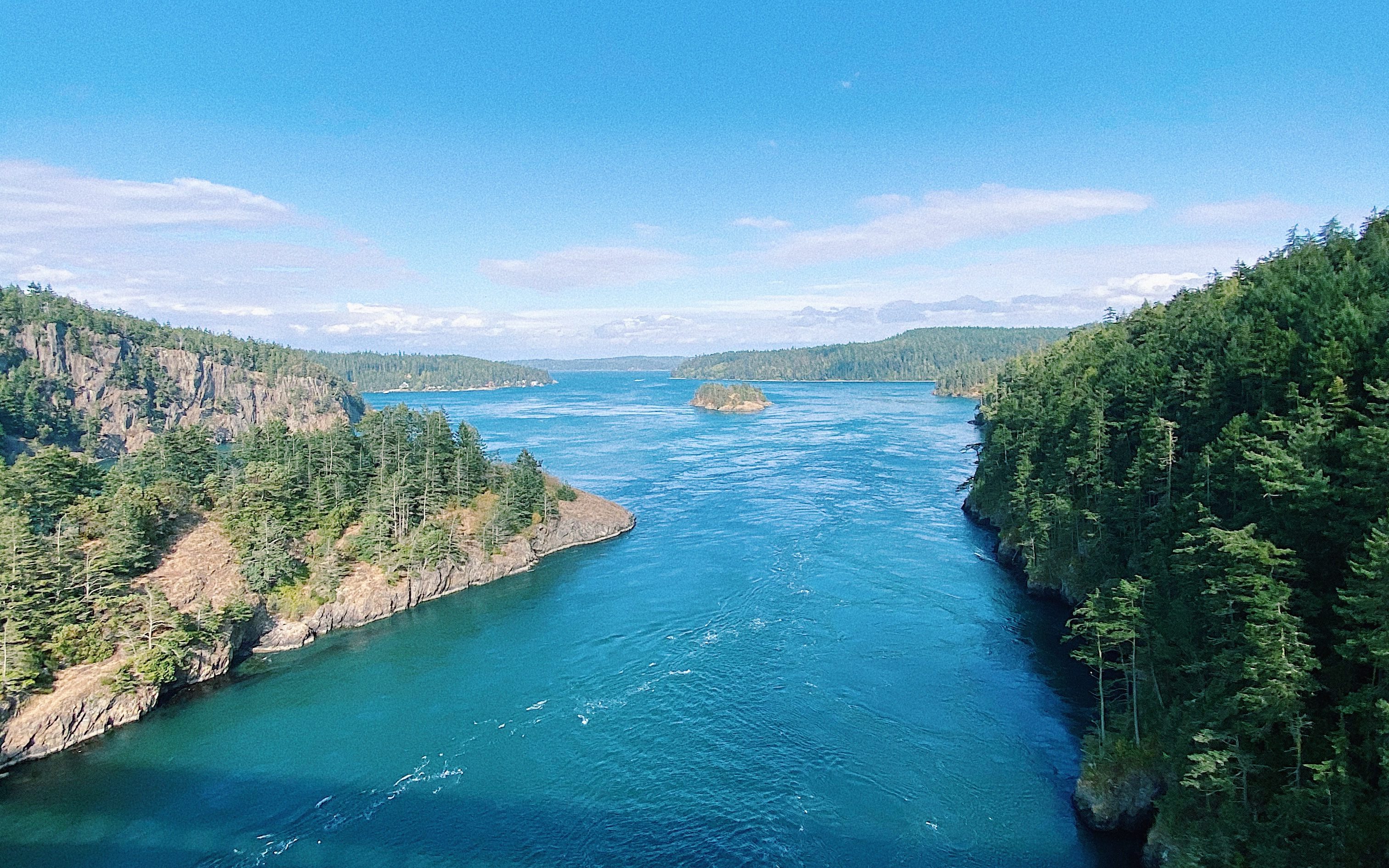 Best Locations to Catch Squid in Seattle – KELCIE LEI