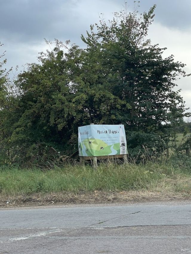 Moos On Thames - www.Kelis.info #KelisTheBottleBank