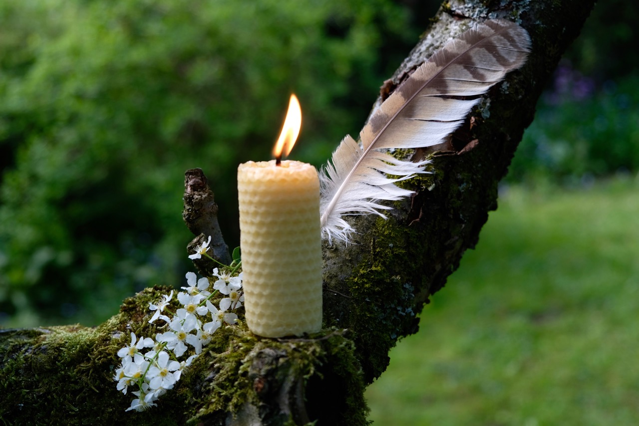 A list beeswax candle is standing on a tree branch, with a striped bird feather beind and a small bunch of white flowers aside it; a tree altar made by Keli Tomlin