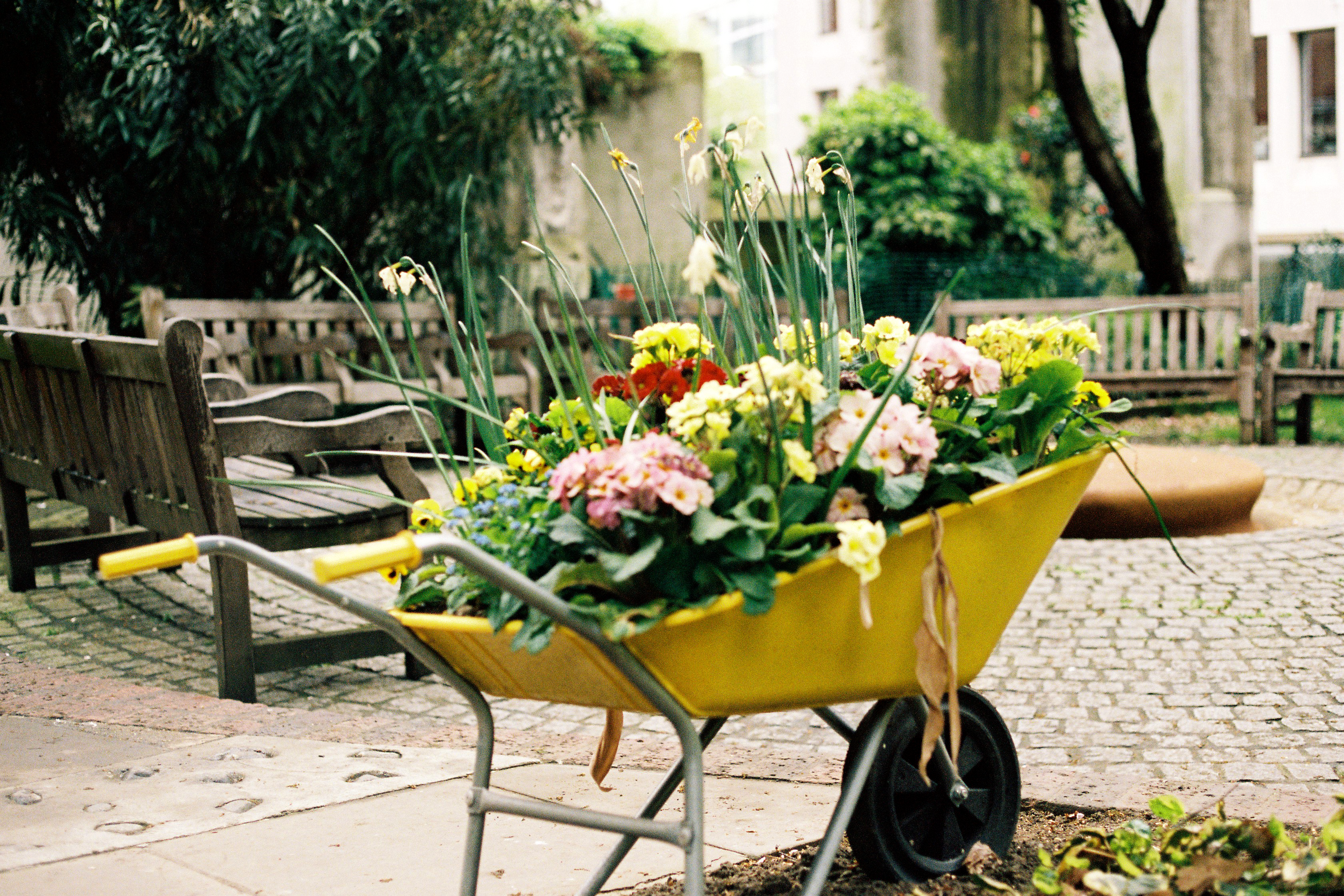 saint dunstan in the east church garden, london, uk