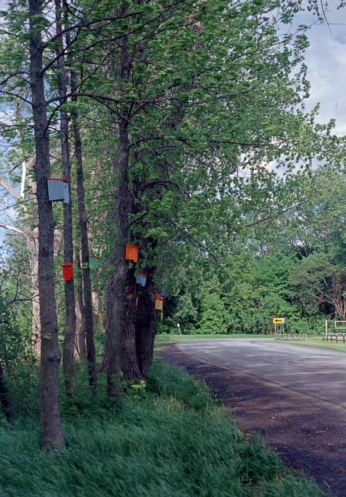 birdhouse forest, south hero, vt