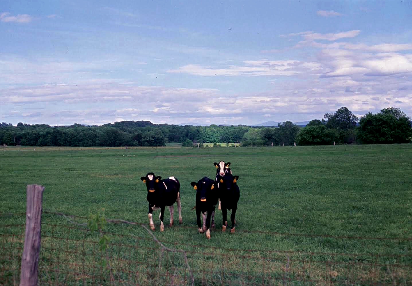 lake champlain islands, vt