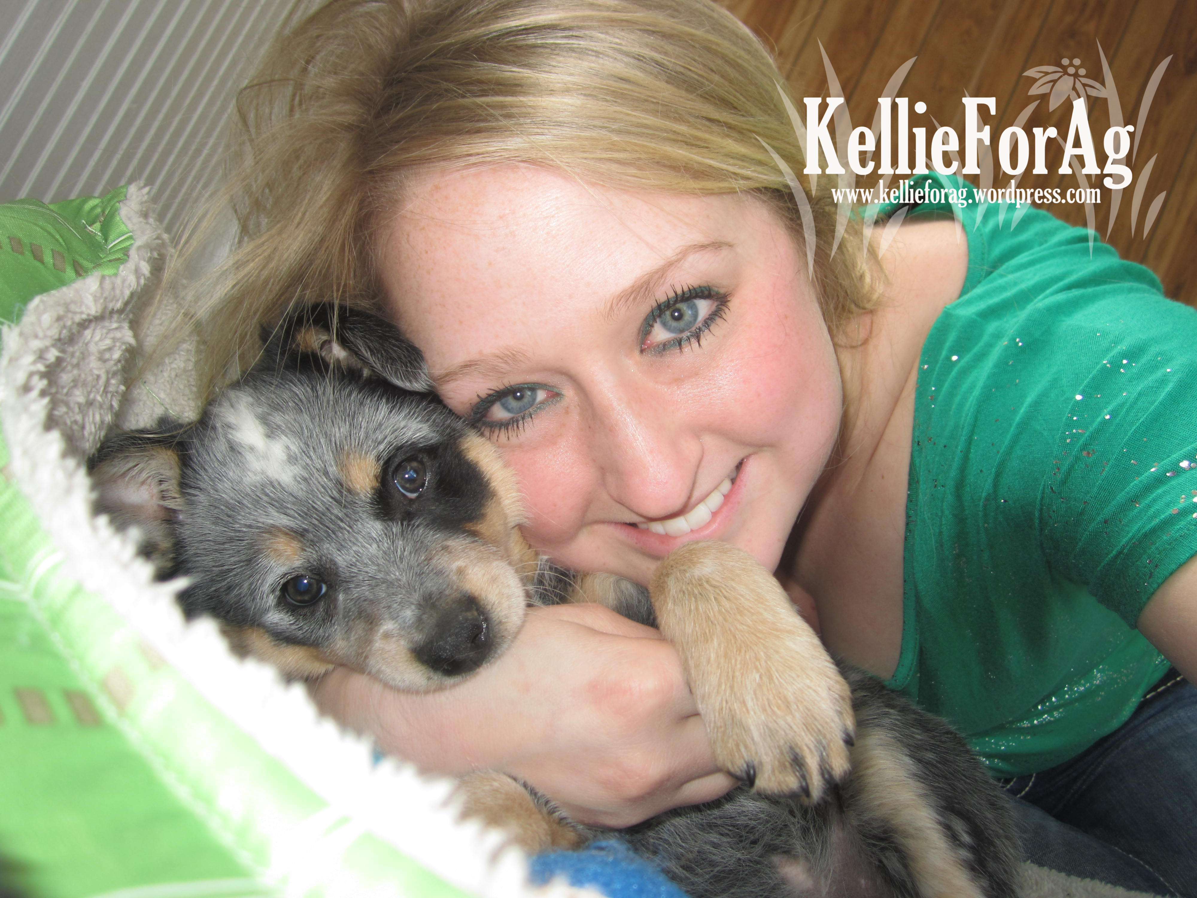 A Fierce Farm Dog Named Lily Kellie For Ag