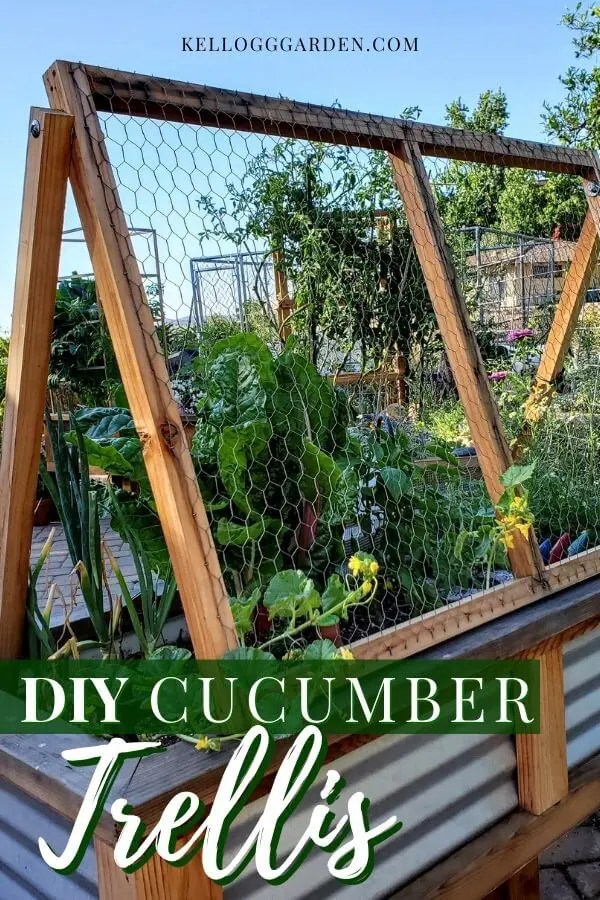 Diy trellis