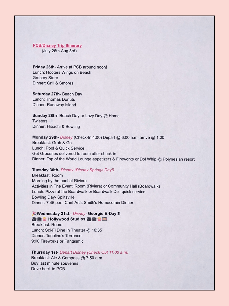 Disney Vacation with Multiple Families Itinerary