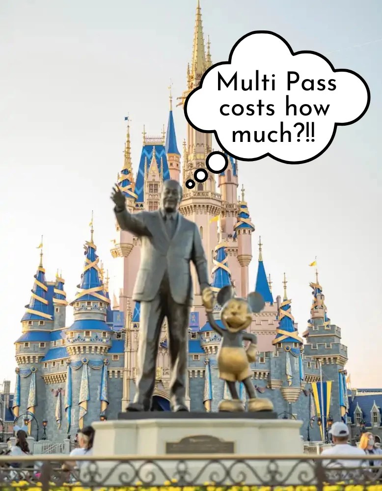 Multi Pass Price