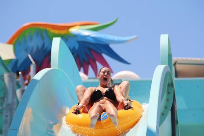 Dolusupark Home Facebook