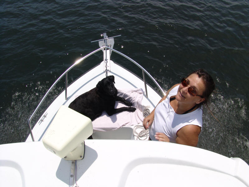 Only has one transient slip and two tour boats that share the dock. Tennessee And Cumberland River V