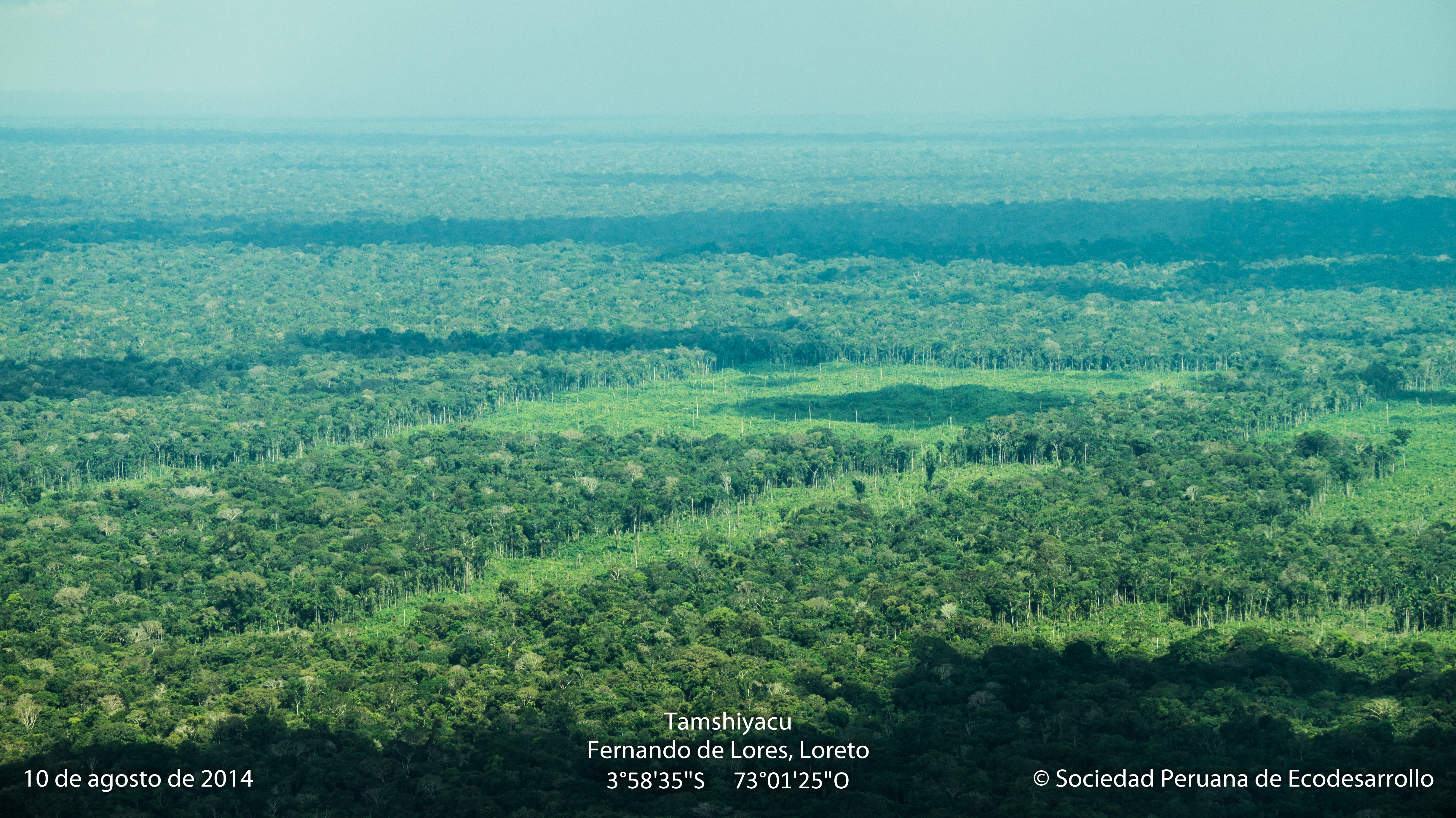 Deforestación de bosques primarios en el Fundo Tamshiyacu
