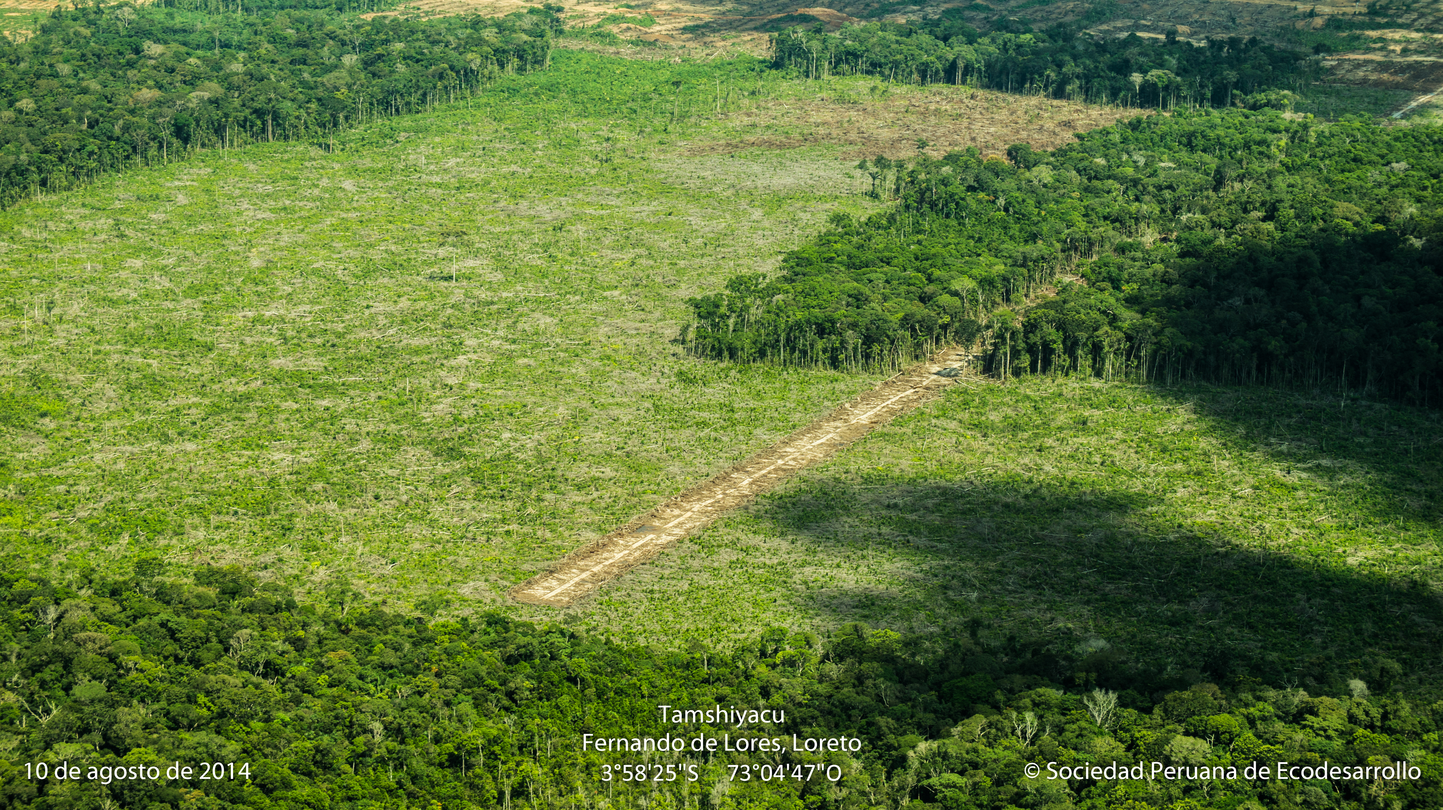 Deforestación de bosques primarios en el Fundo Tamshiyacu