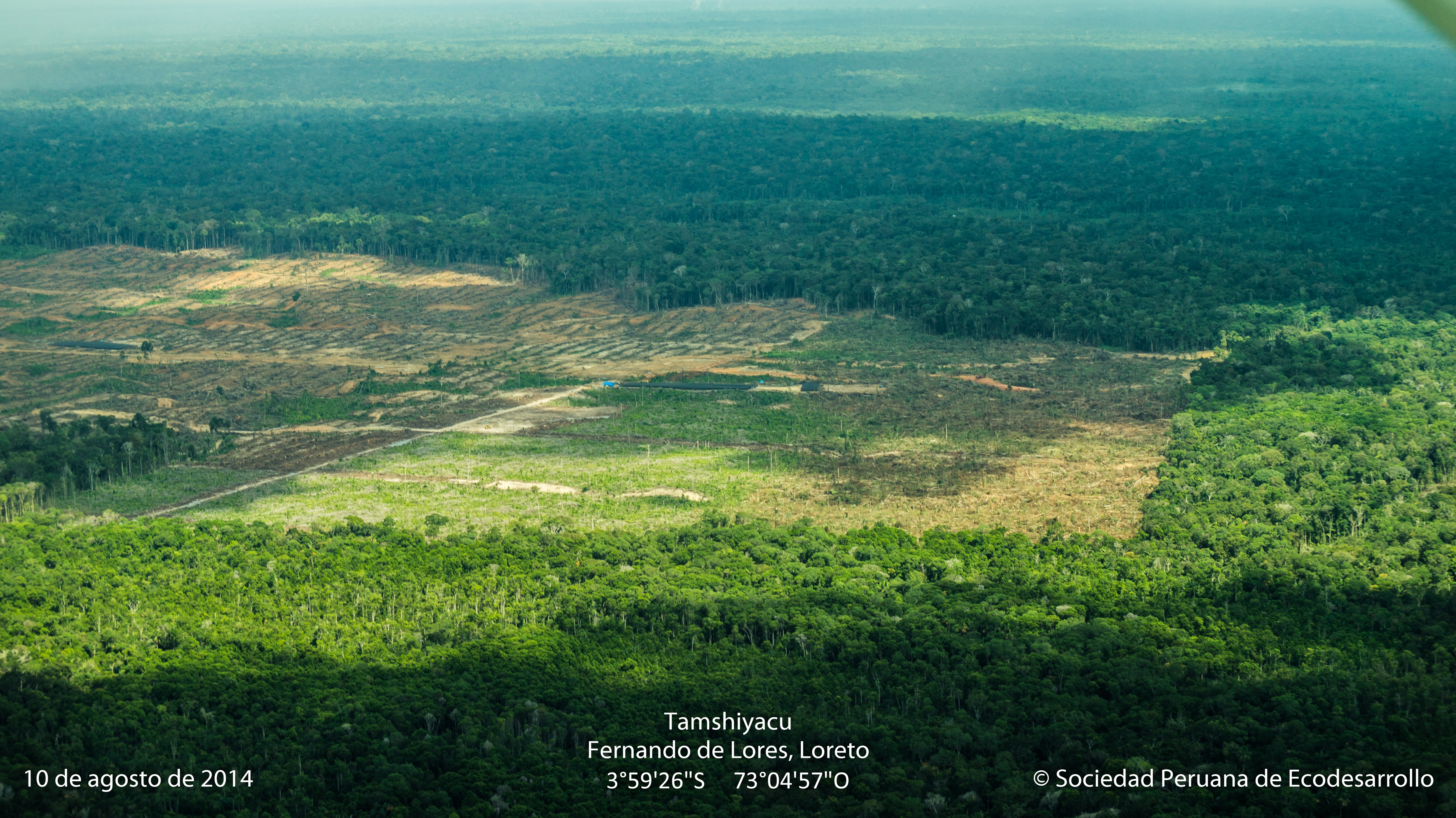 Deforestación de bosques primarios en el Fundo Tamshiyacu