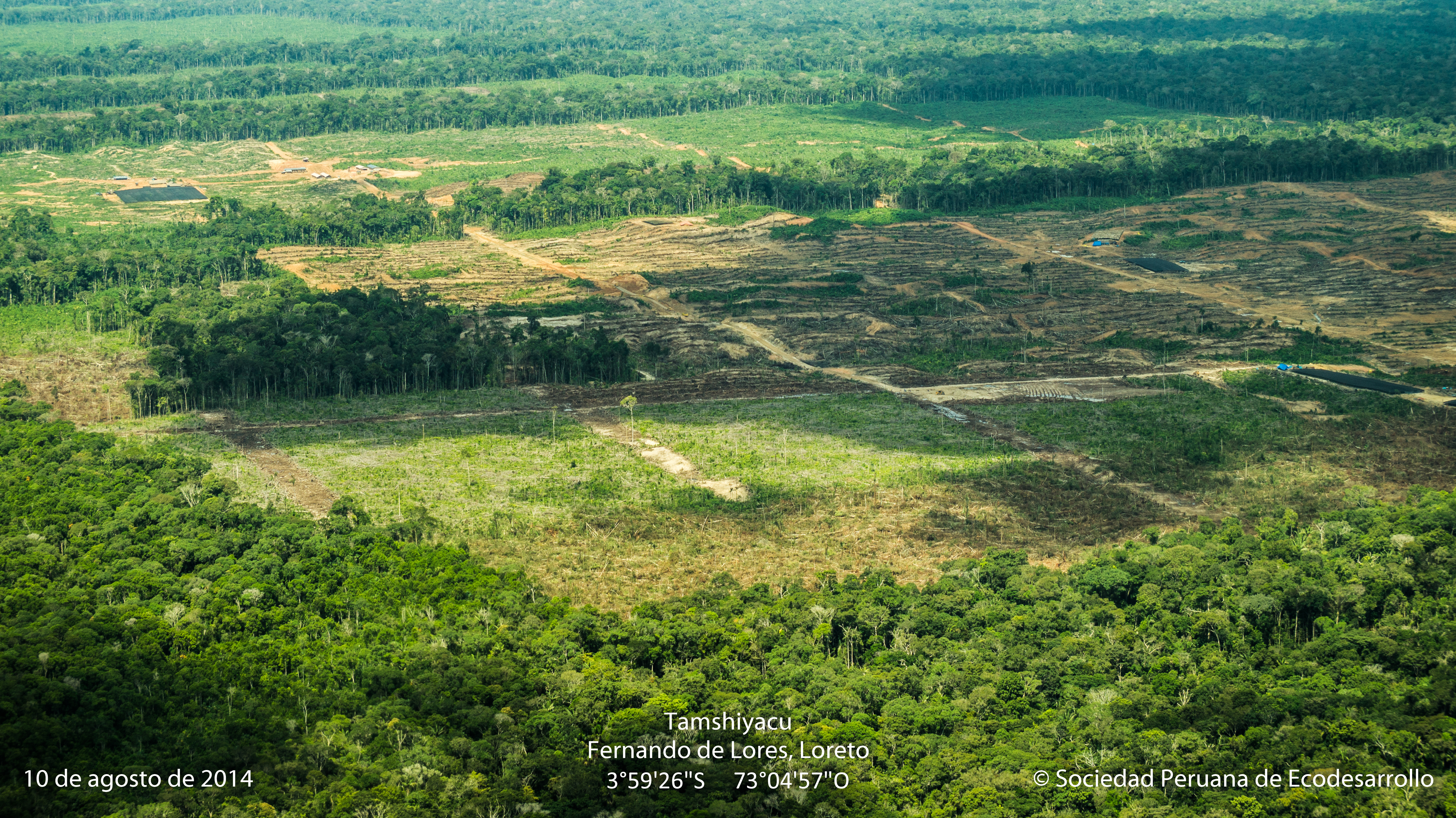 Deforestación de bosques primarios en el Fundo Tamshiyacu