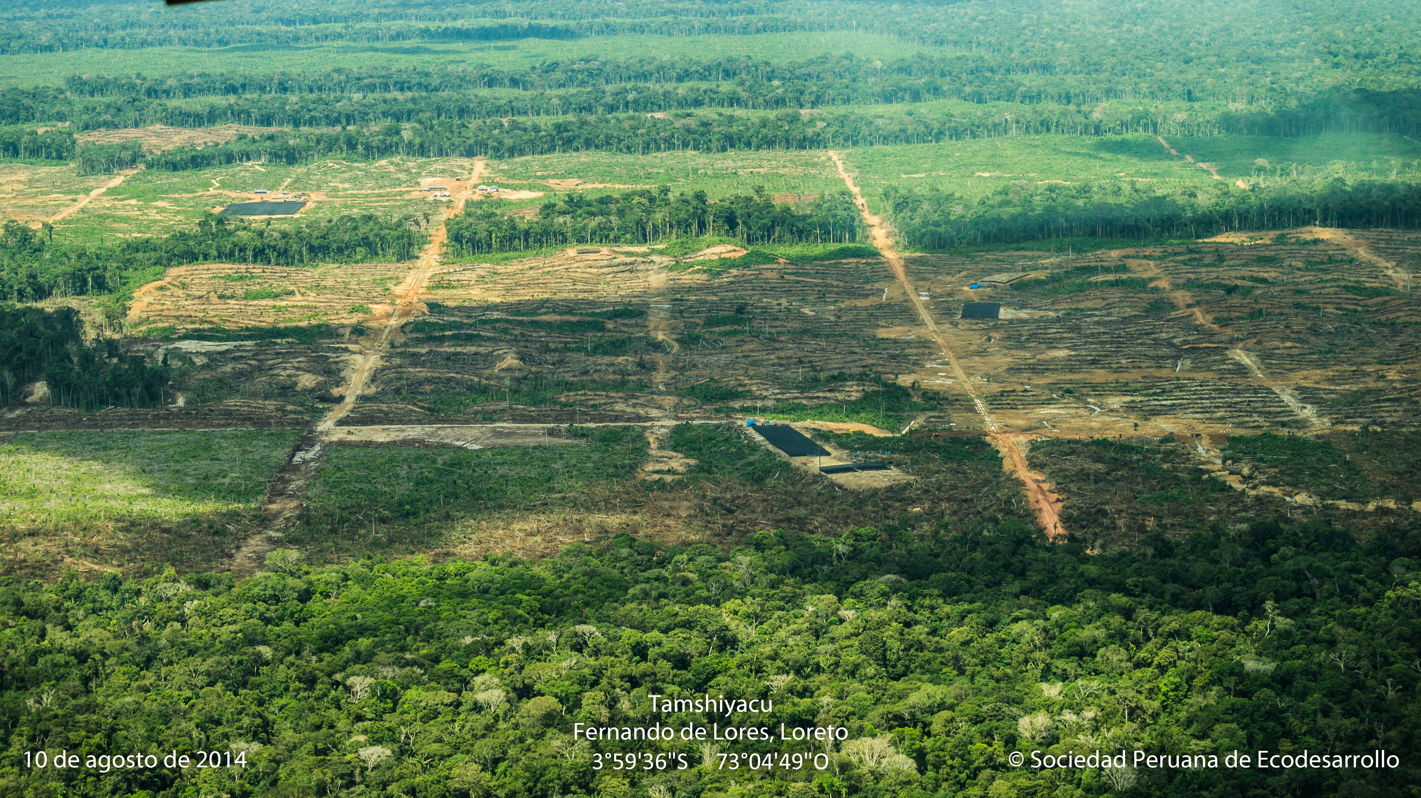 Deforestación de bosques primarios en el Fundo Tamshiyacu