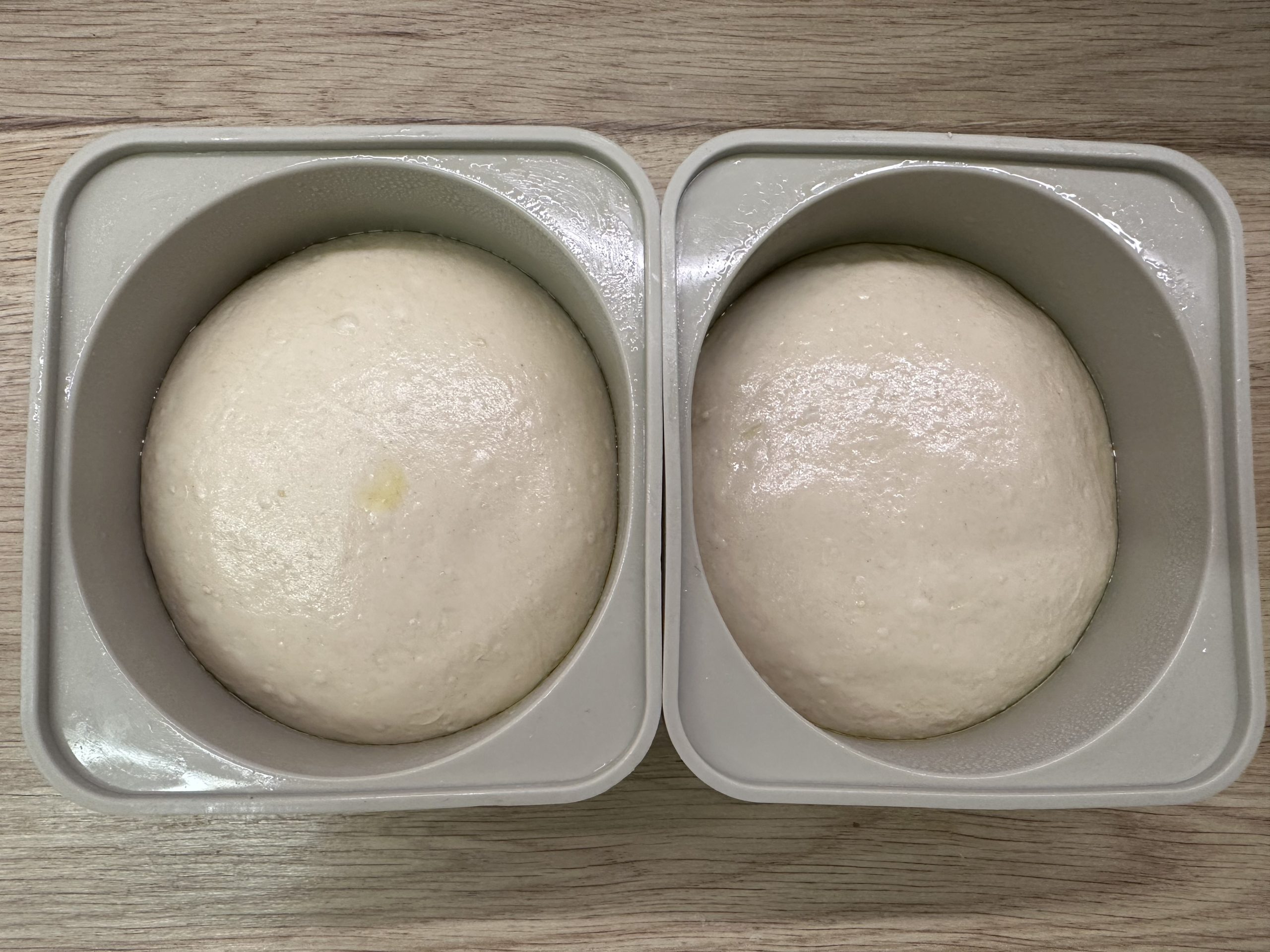 Two takeaway style pizza dough balls in proofing trays.