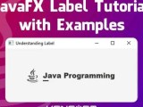 Javafx Label Tutorial 100 Perfect For Beginners