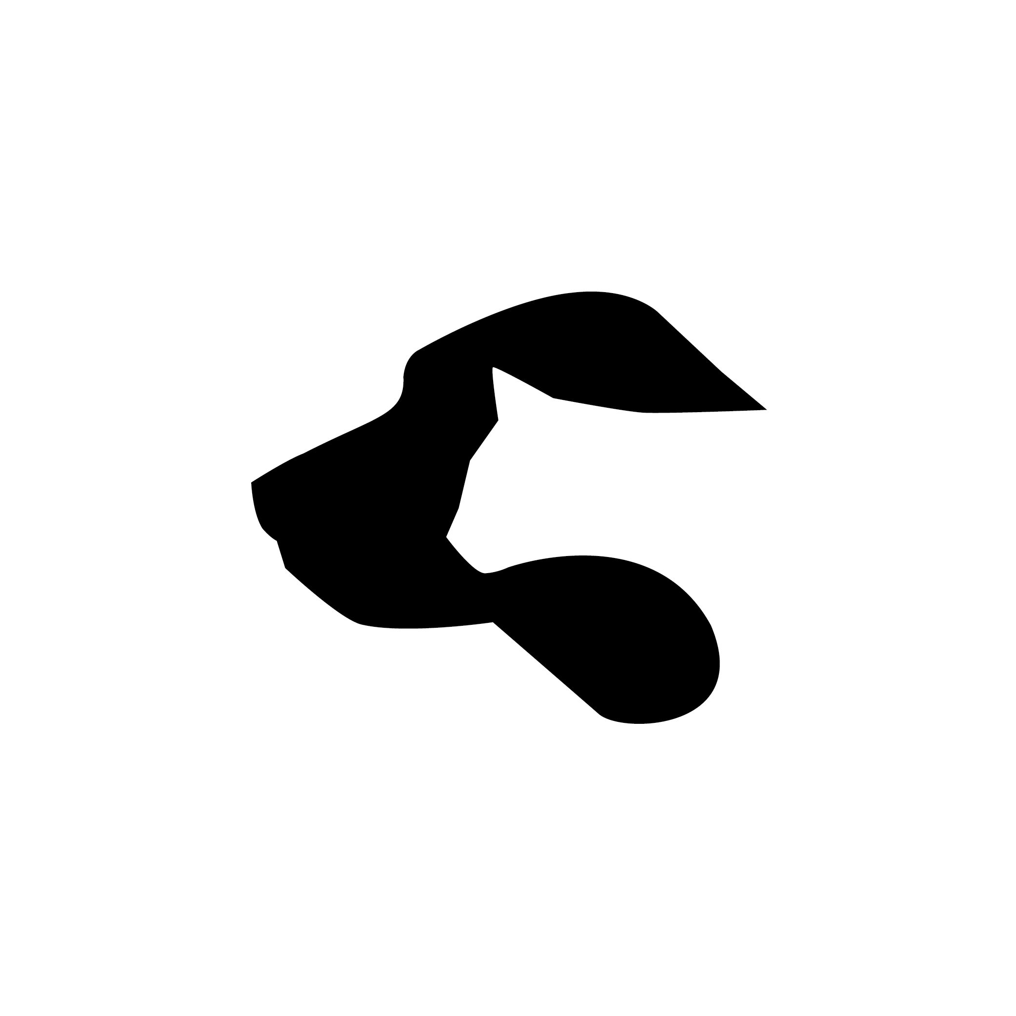 camden pet hospital - keoki design on camden pet hospital boarding