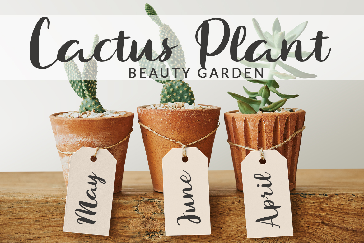 kerismaker full gallery item #6