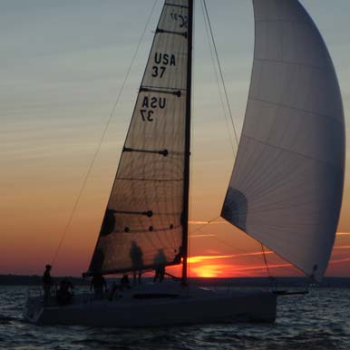 Santa Cruz 37