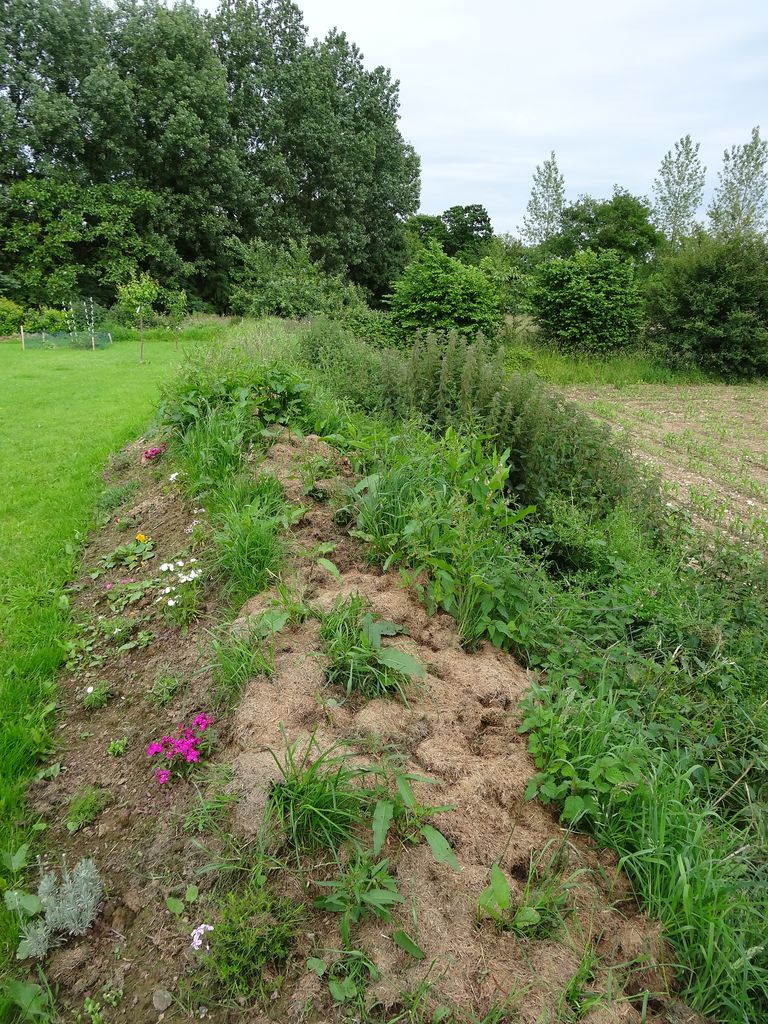 Comment Avoir Un Joli Jardin En Pente Jolies Idees En Photos Et Conseils Pour L Amenagement Archzine Fr