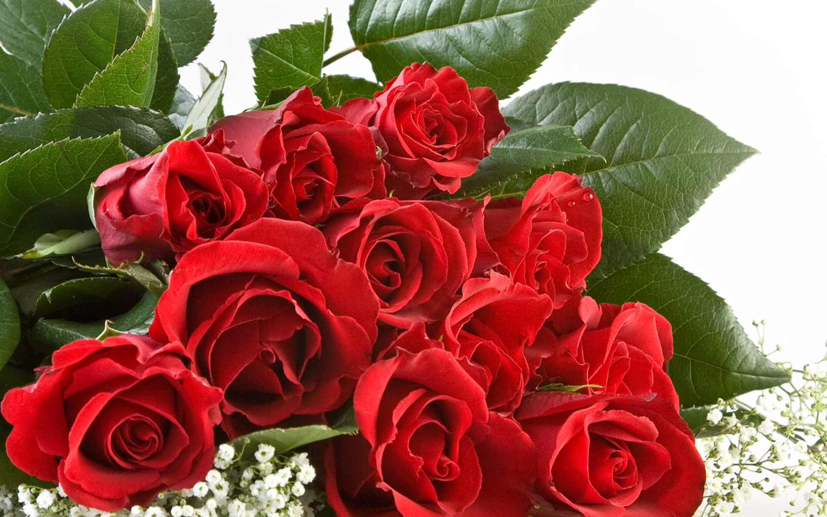 Bouquet of red roses